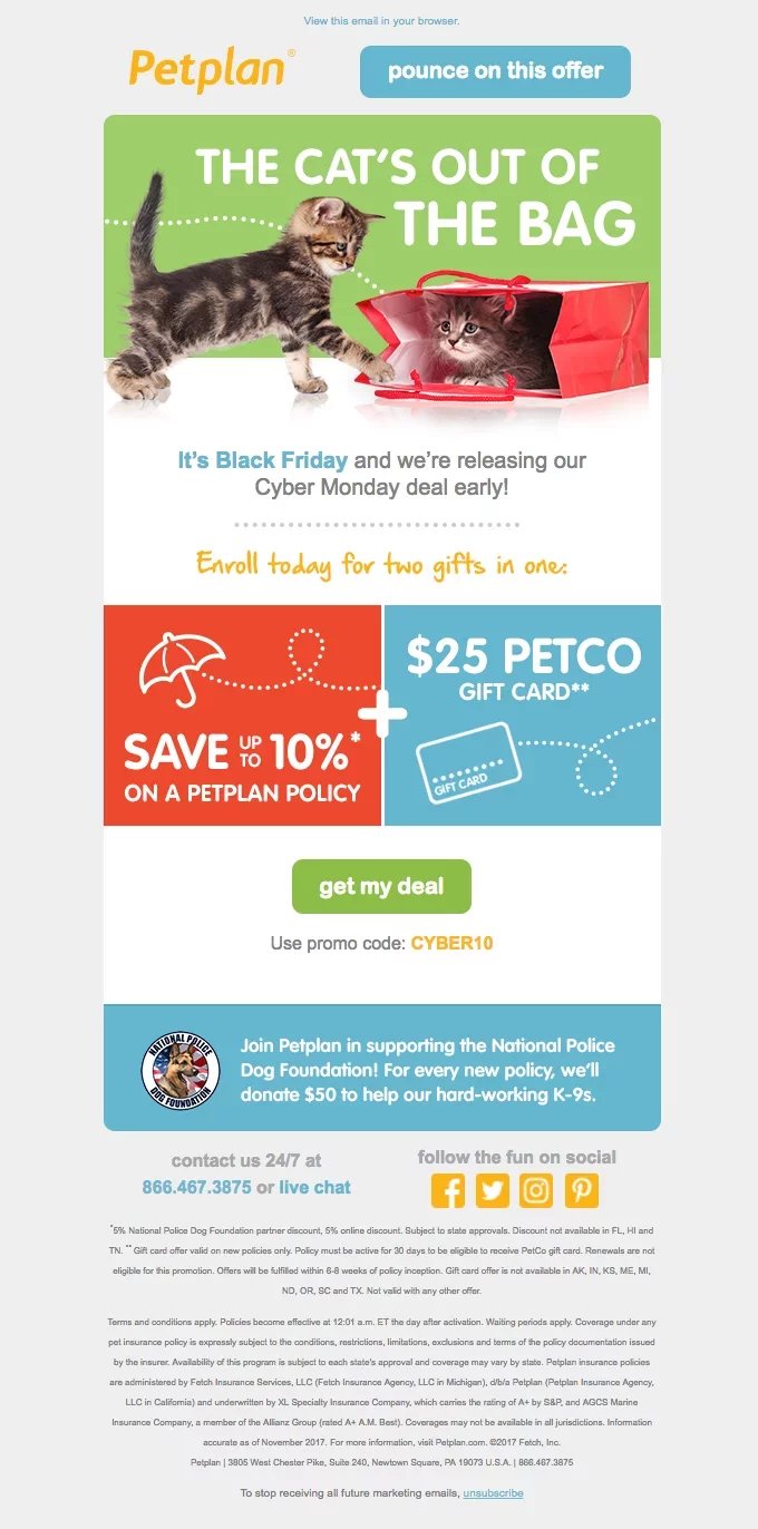 Petplan newsletter template
